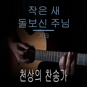 작은 새 돌보신 주님 (기타 버전)