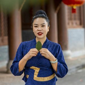 傣爱徕-傣爱徕《普洱市傣爱徕饭店宣传主题曲》 伴奏