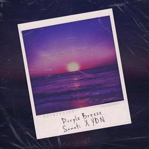 Purple Breeze (feat. ydn.)