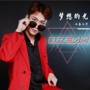 梦想的光（国风）