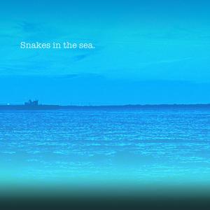 Snakes in the sea