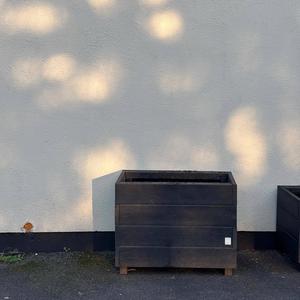 Lessons (Sunlight Session Demo)