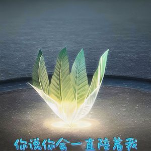 傻瓜