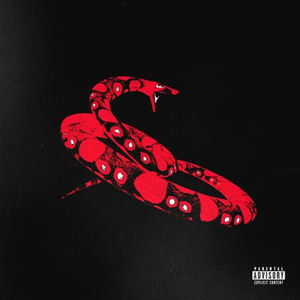 Type Shit