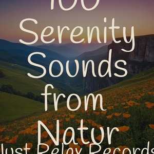 Melodic Visions Within