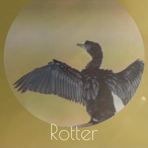 Rotter