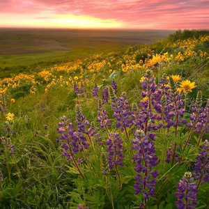 不是夏天的味道