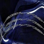 水货教授_badprofessor