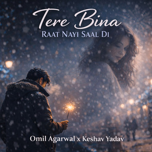 Tere Bina Raat Nayi Saal Di