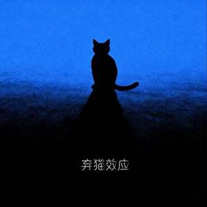 弃猫效应 (女生节奏氛围版)