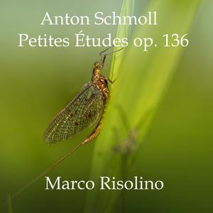 Le Frimas (Petites Études op. 136)