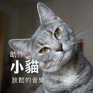 小猫的摇篮曲