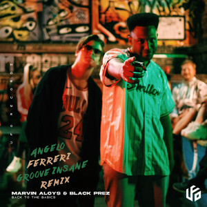 Back To The Basics (Groove Insane Remix)