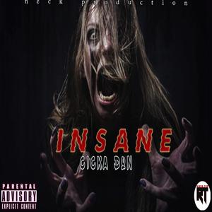 Insane (Radio Edit)