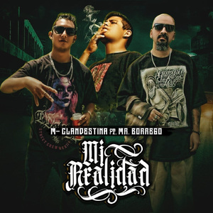 Mi Realidad