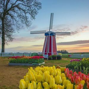 岁岁年年不相负