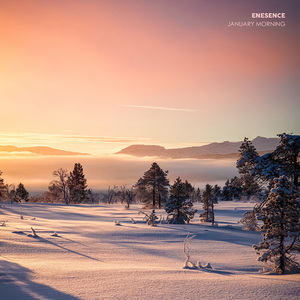 January Morning