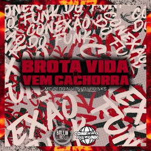 Brota Vida X Vem Cachorra