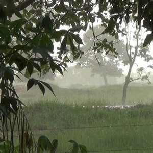 Amanheceu na fazenda (Remix)