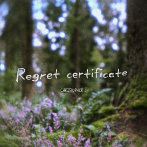 Regret certificate