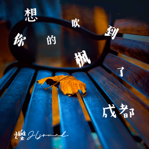 想你的风吹到了成都