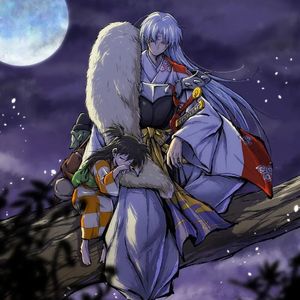 銀月の契り -宿命の体温-(《银月之誓 -宿命的体温-》)