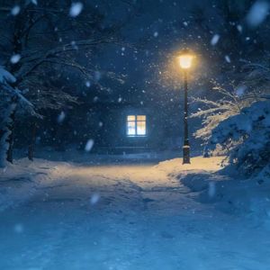 左肩的雪