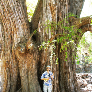 Medieval Bard Skomoroch Dance