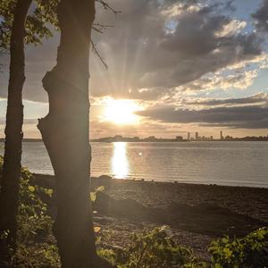 Reaching For The Skies