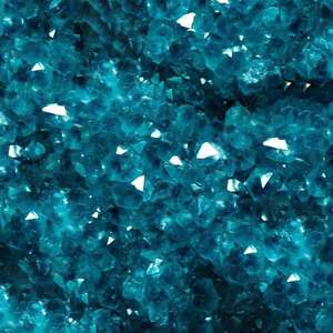 生命之花（翻自 张继聪）