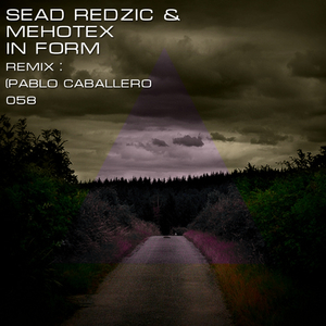 In Form (Original Mix)