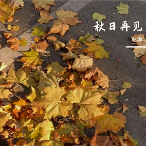 秋日再见 伴奏