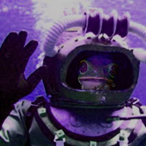 Per Chance, the Opulency of Conglomeratic Females (Hyalinobatrachium Harem)