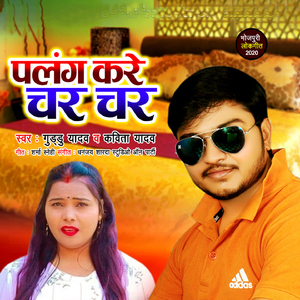 Palang Kare Char Char