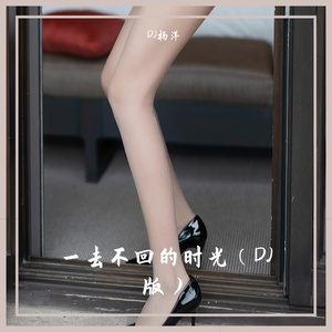 一去不回的时光（DJ版）