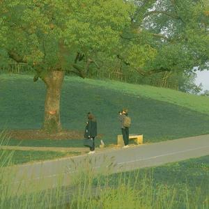 3月29日 下午12点00分 [高质量]