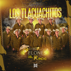 Los Tlacuachitos