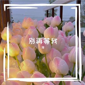 安和桥