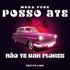 MEGA FUNK POSSO ATE NAO TE DAR FLORES
