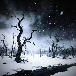 Cry and grieve（demo）