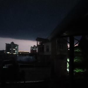 林间客（即兴原创）-曲