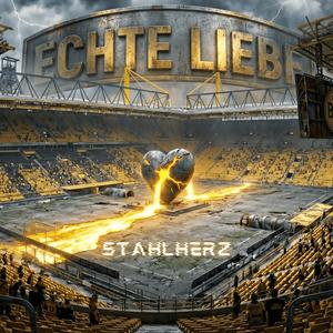 Echte Liebe (BVB Schwarzgelbes Herz)