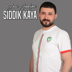 Sevin Amedspor