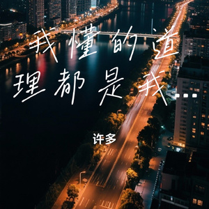 我懂的道理都是我受过的罪