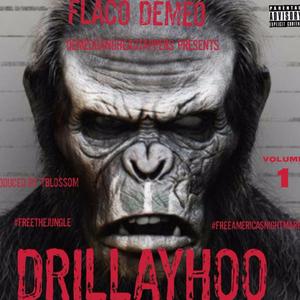 SITCHY (OUTSIDE)DRILLAYHOO THE ALBUM