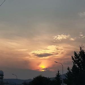 玫瑰（翻自 贰佰）