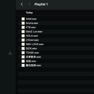 共享歌单 (sped up)