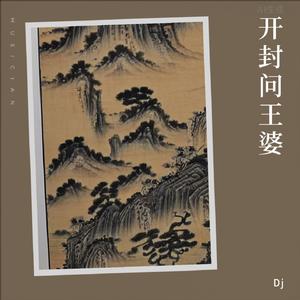 开封问王婆 (DJ版)