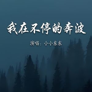 我在不停的奔波