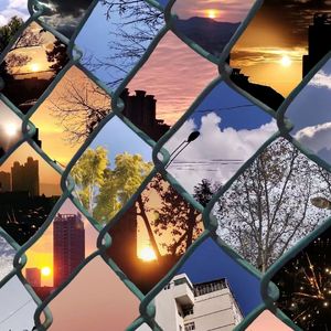 情歌(尤克里里版）